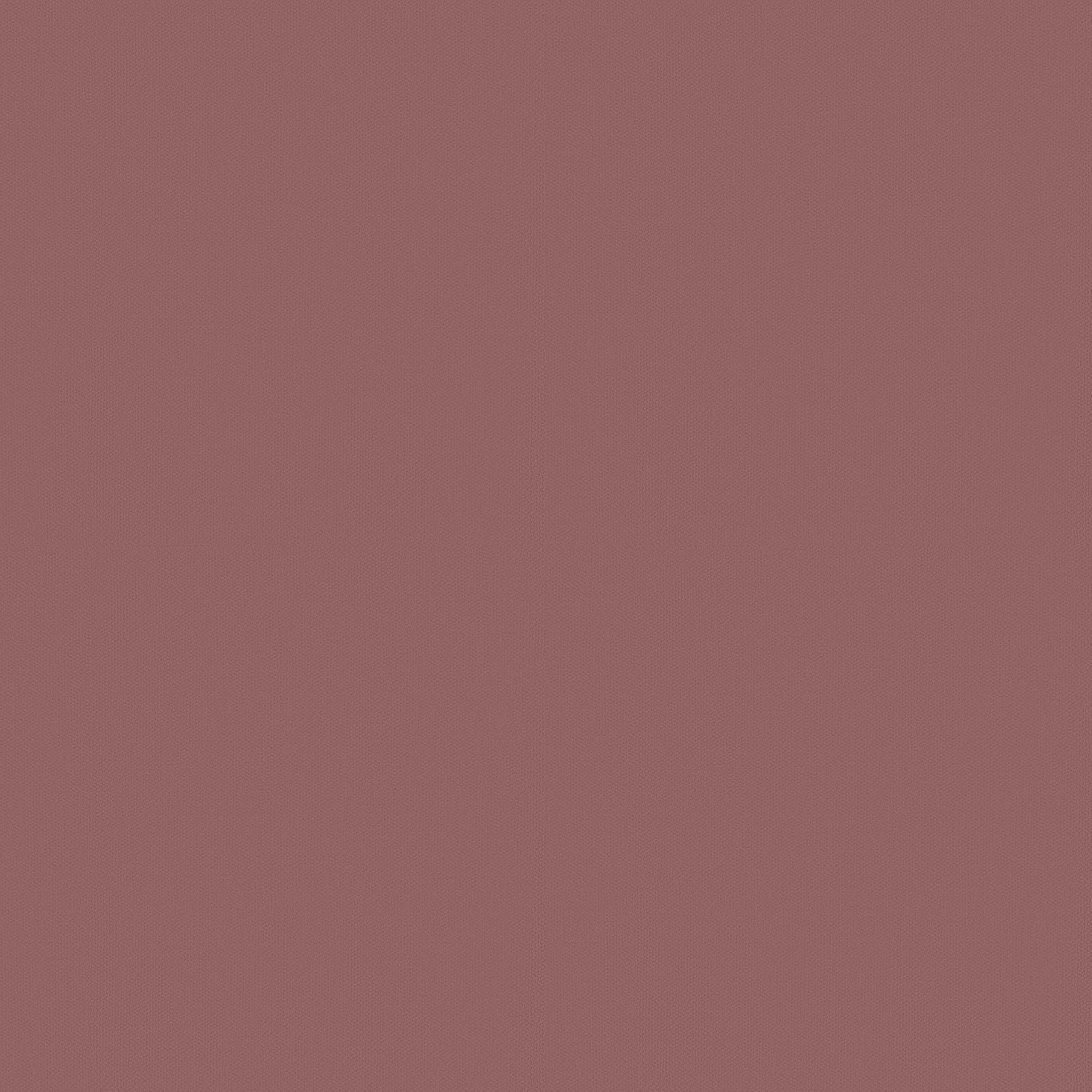 17 ROSA ANTICO