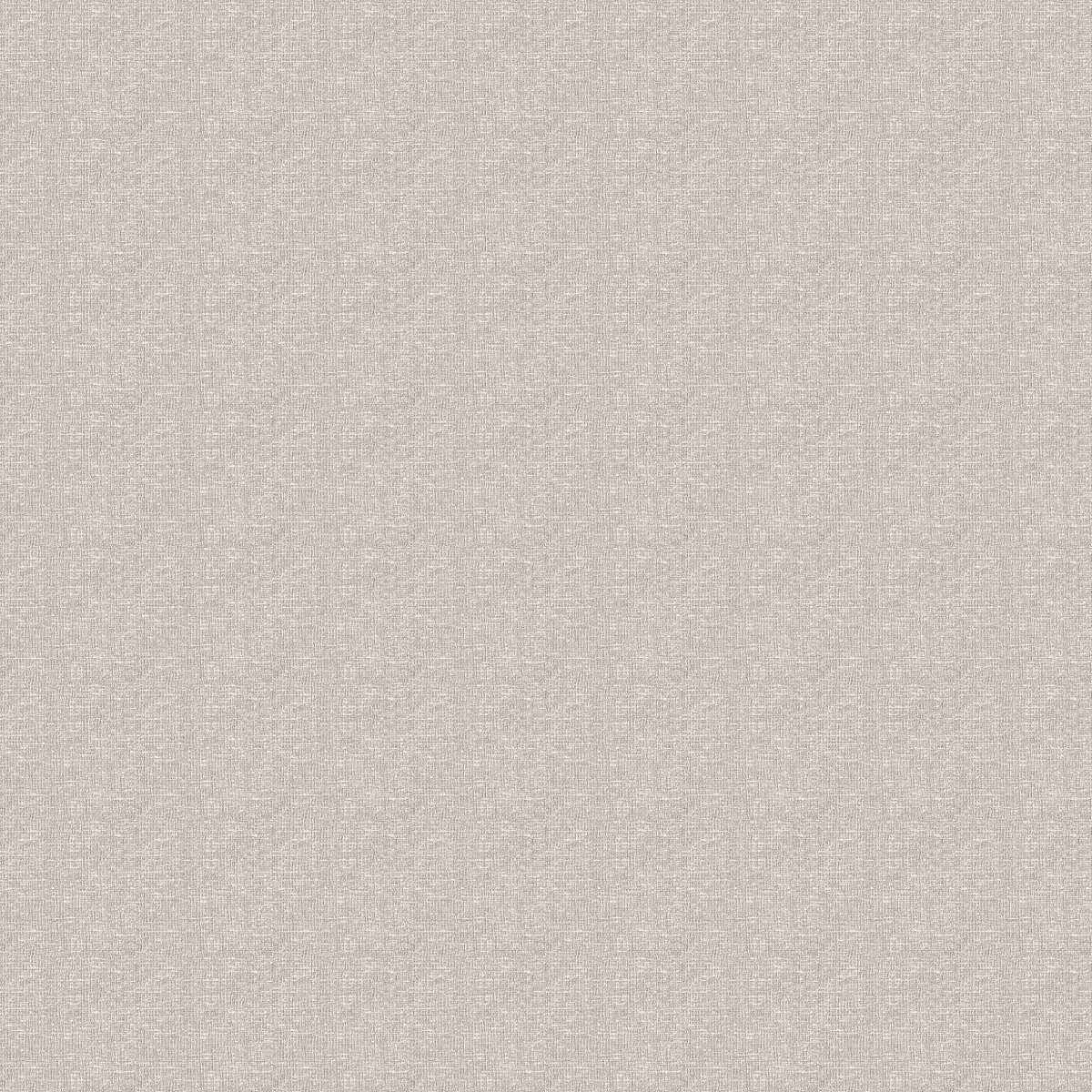 20 2