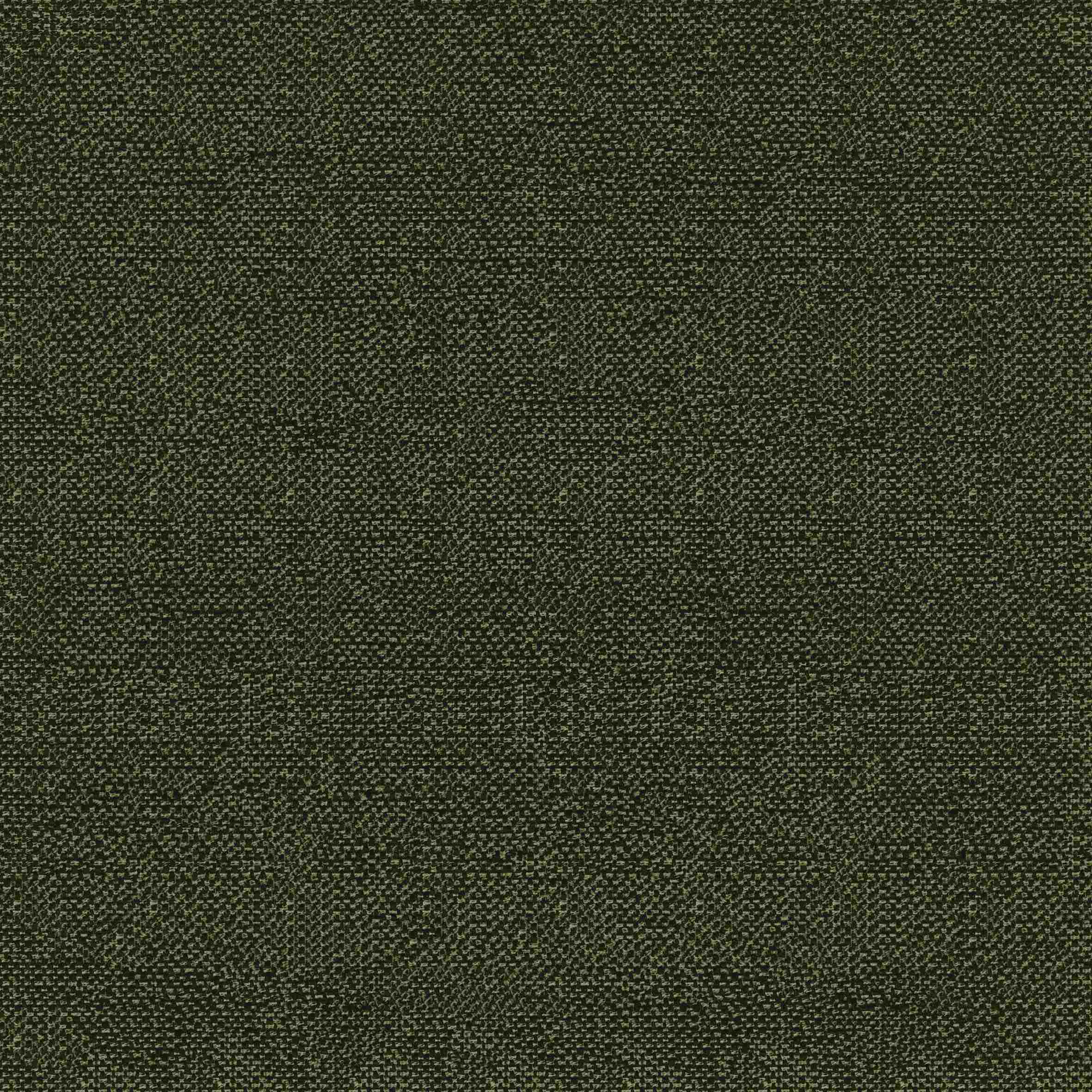 204