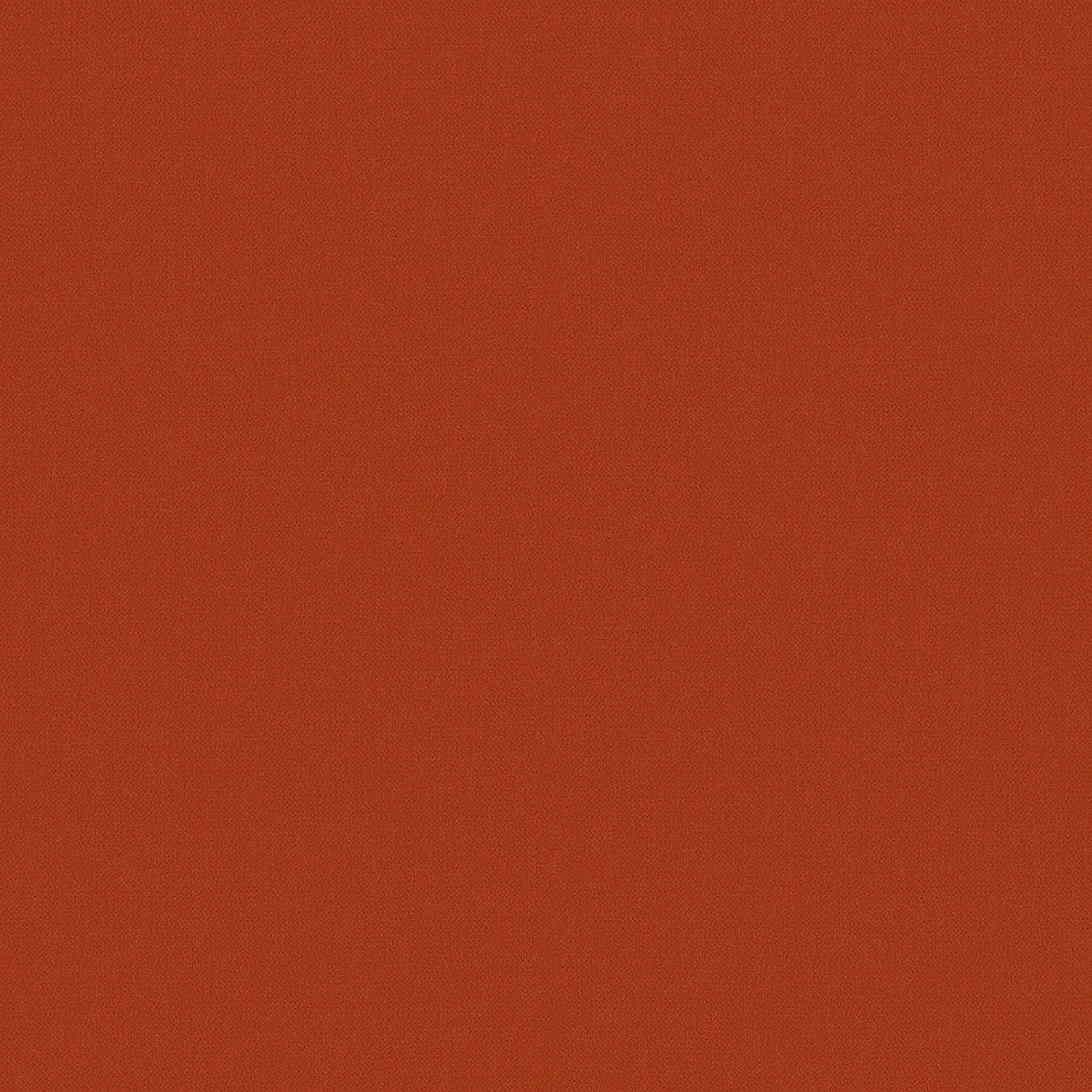 BRONX ORANGE