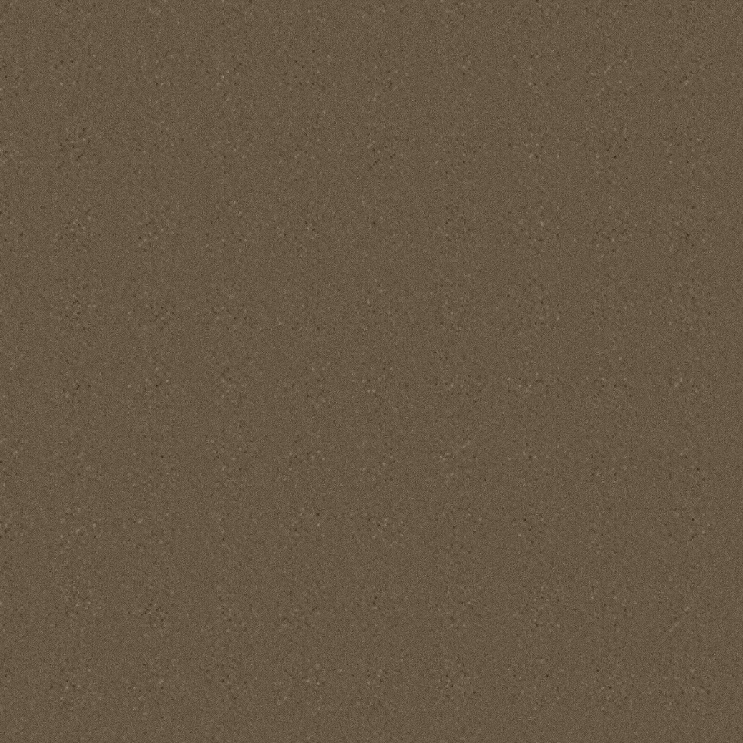 CAMEL 1
