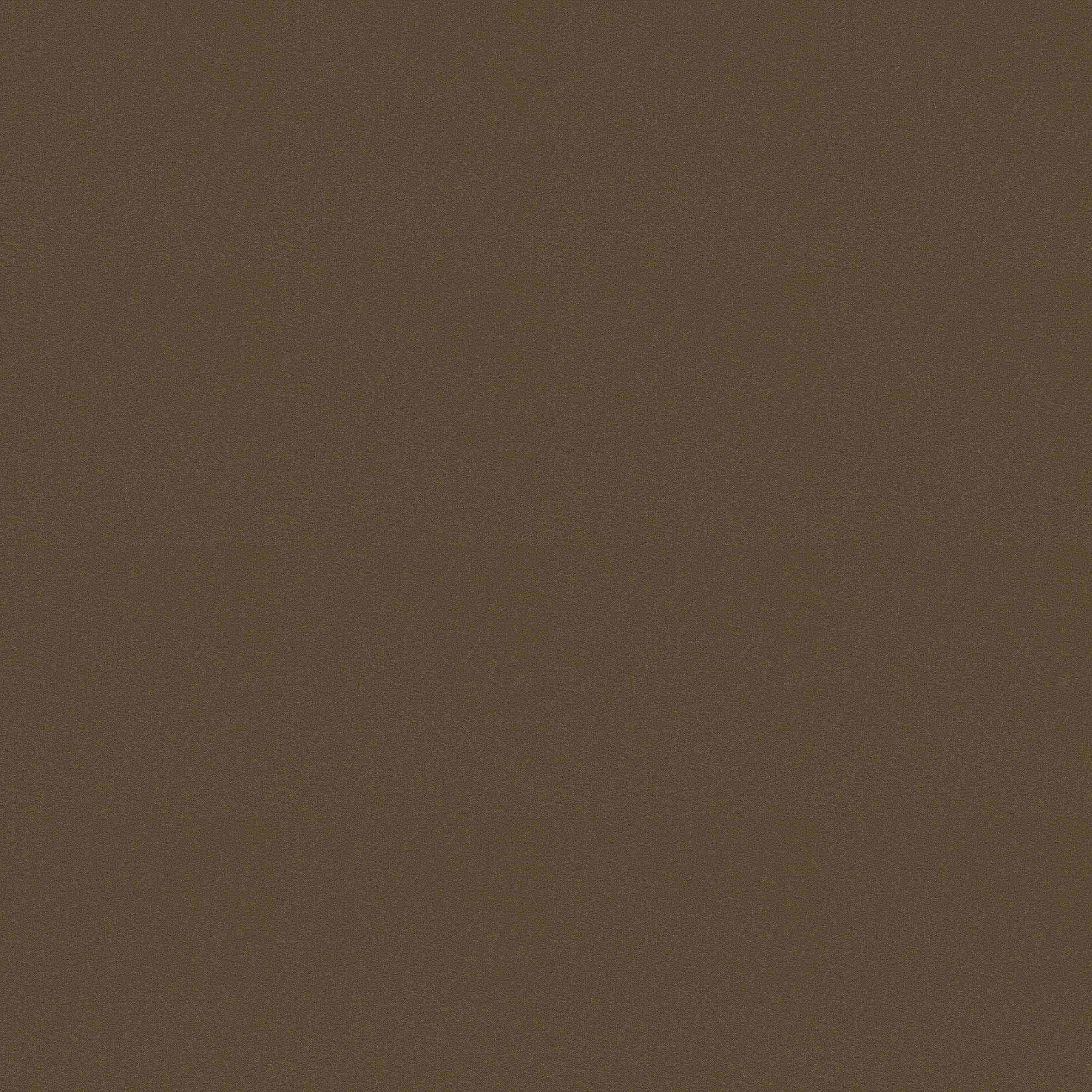 CAMEL 2