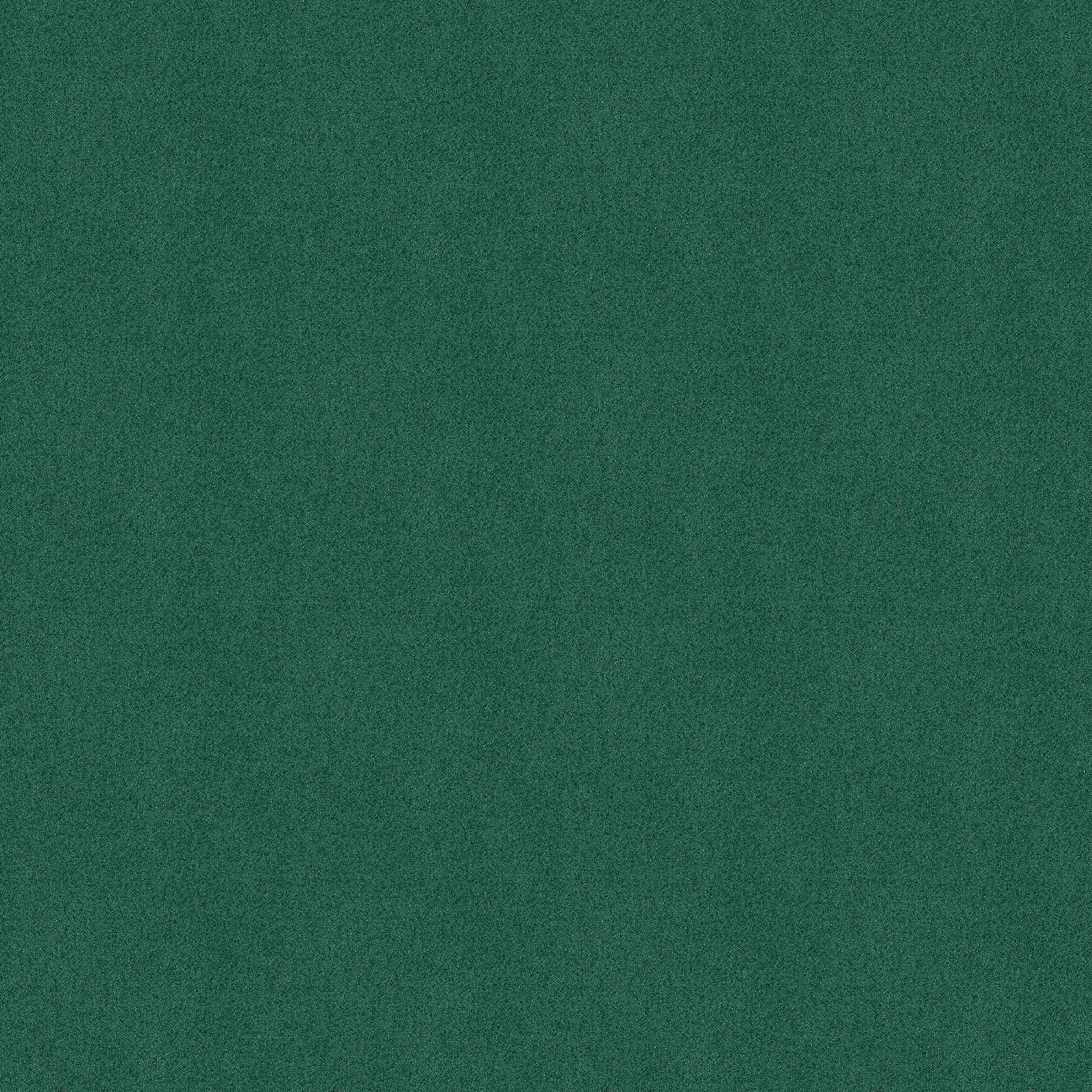 COL. 557
