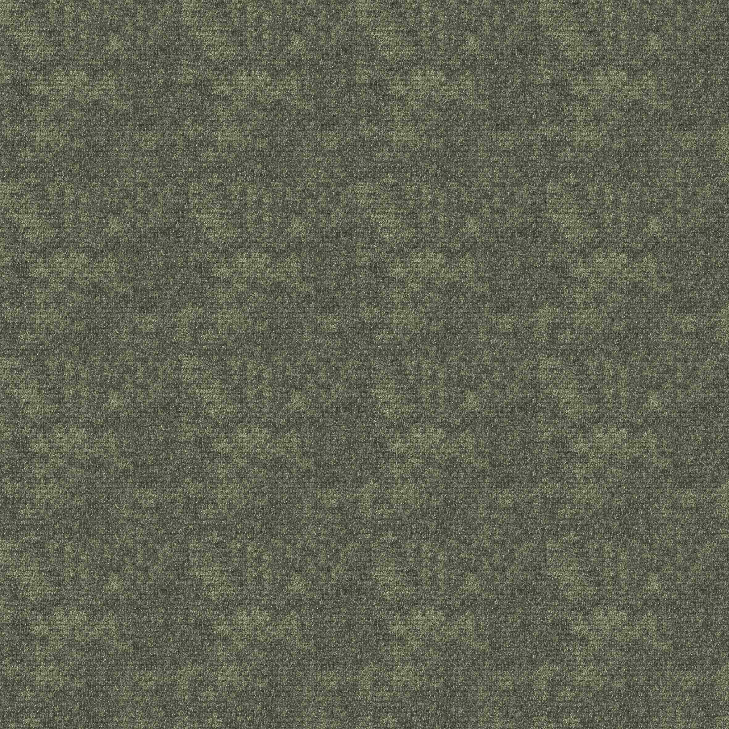 FOREST 2