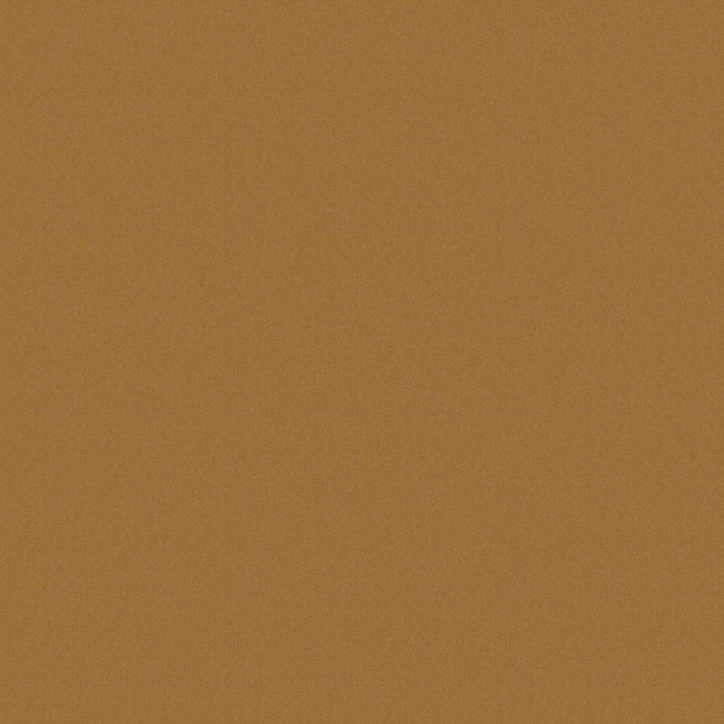 MOSTAZA 1