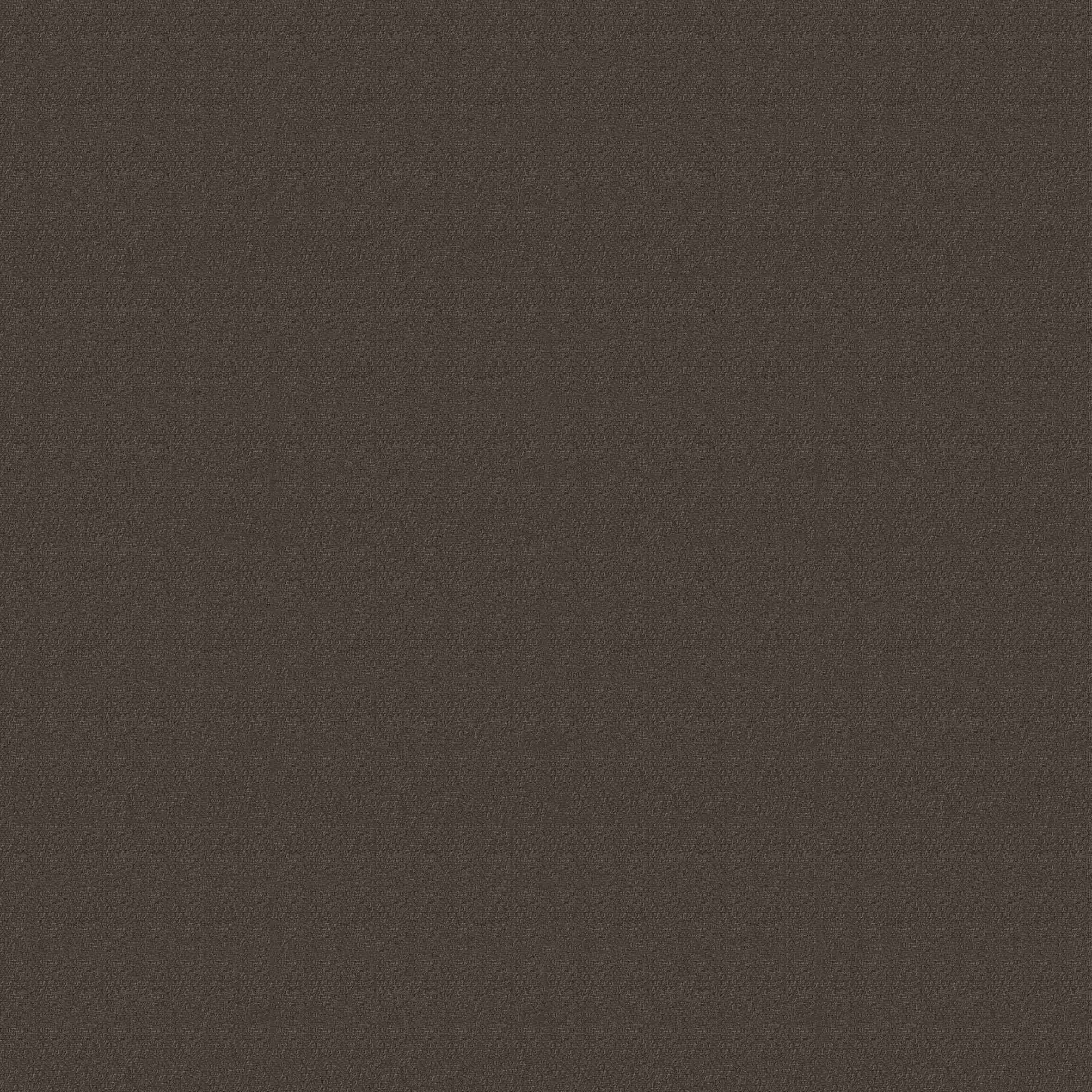 TAUPE 1