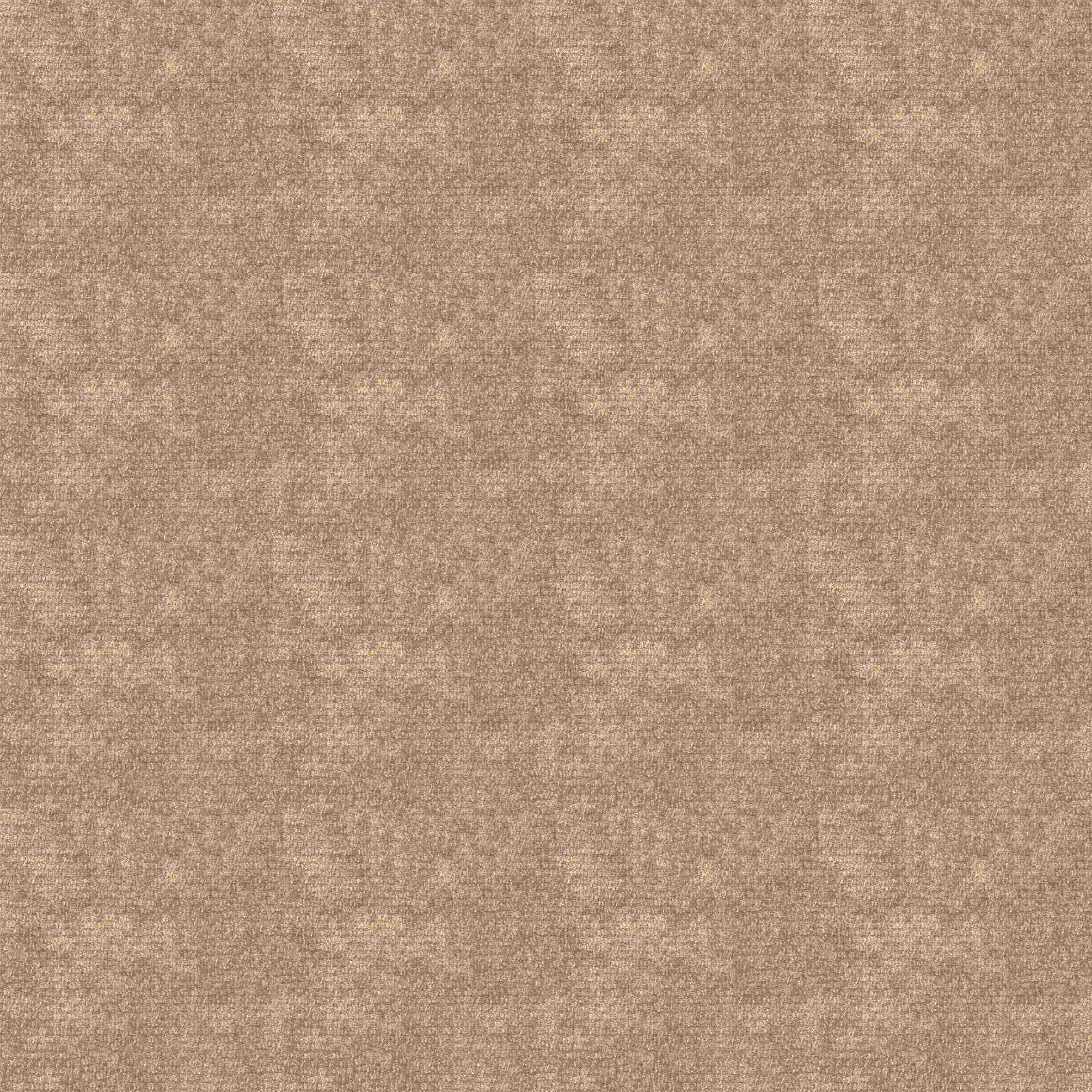 TAUPE 2